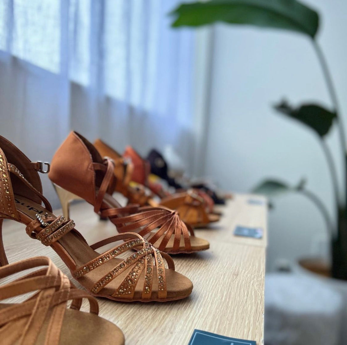 Evolve Dance Boutique Latin Dance shoes and Costume Xchange Chch